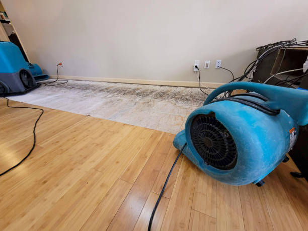 Professional Burst Pipe Water Damage technician working in Thor, IA